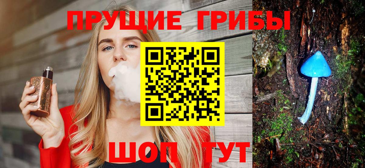 Галлюциногенные грибы Psilocybe Воскресенск