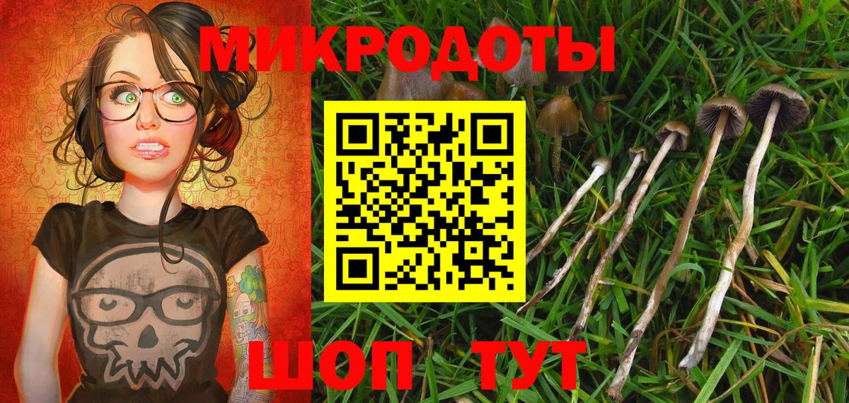 Воскресенск  Псилоцибиновые грибы GOLDEN TEACHER  Вход с VPN  Псилоцибиновые грибы Psilocybe 